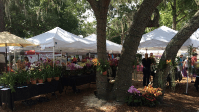 Windermere Farmers Market 3